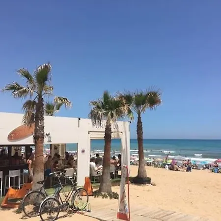 Apartment Brand New Apartment. 400 Meters Best Beach *
