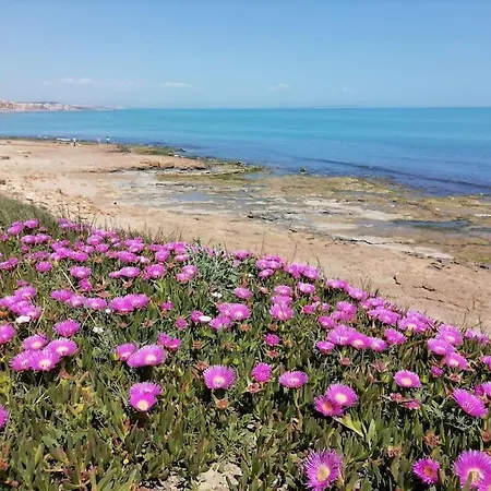 Brand New Apartment. 400 Meters Best Beach Torrevieja