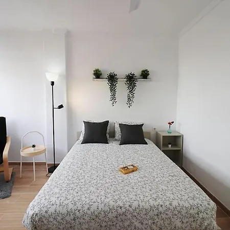 Apartment Brand New Apartment. 400 Meters Best Beach
